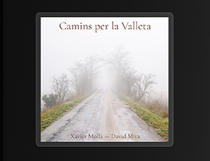 Camins per la Valleta
